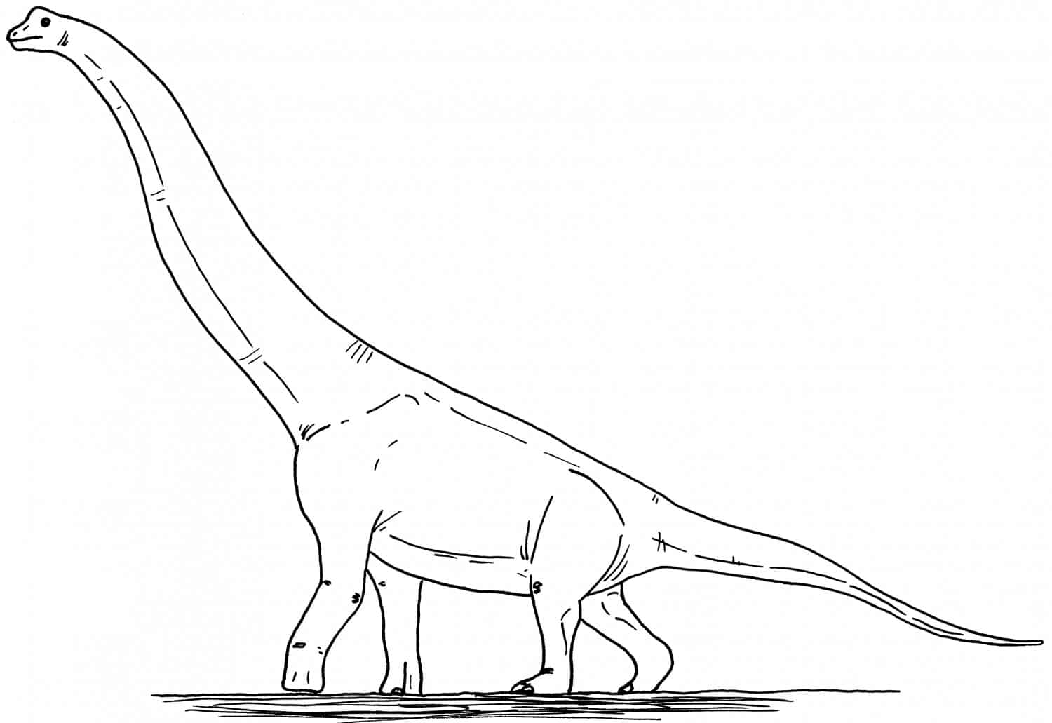 Брахиозавр рисунок