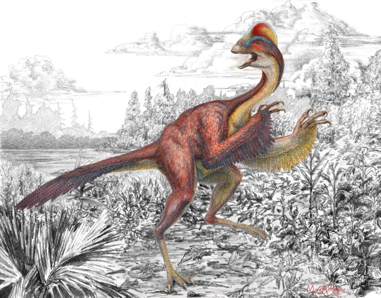 Featured image for “Dinosaur of the Month – Anzu wyliei!”