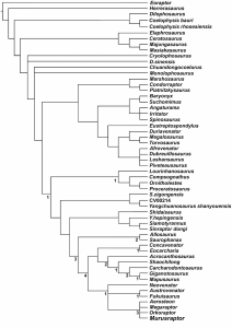 Stict consensus of 4650 most parsimonious phylogenetic trees of one of Coria and Currie's (2016) analyses of species relationships. Note the Megaraptoridae mostly in an unresolved polytomy nested within the Allosauroidea at the bottom of the figure. From Coria and Currie (2016).