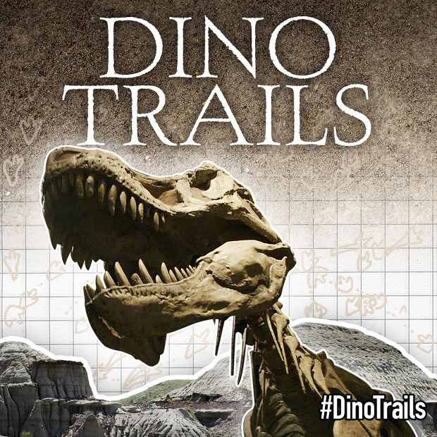 Dino Trails