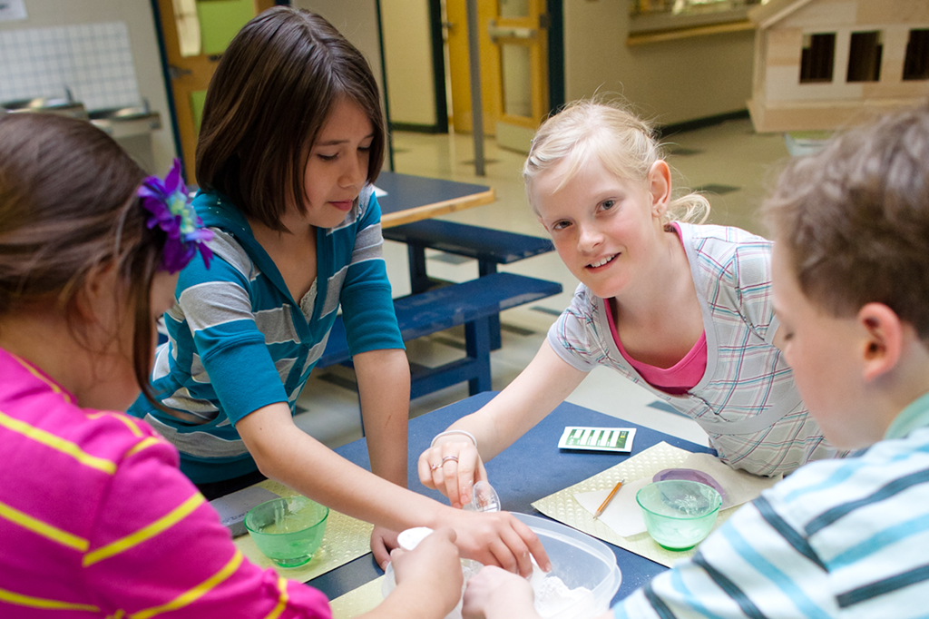 Students making fossil casts