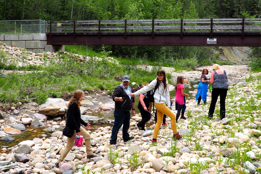 Pipestone Creek Bonebed Tours