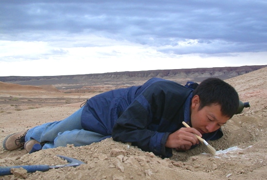 Dr. Xu Xing
