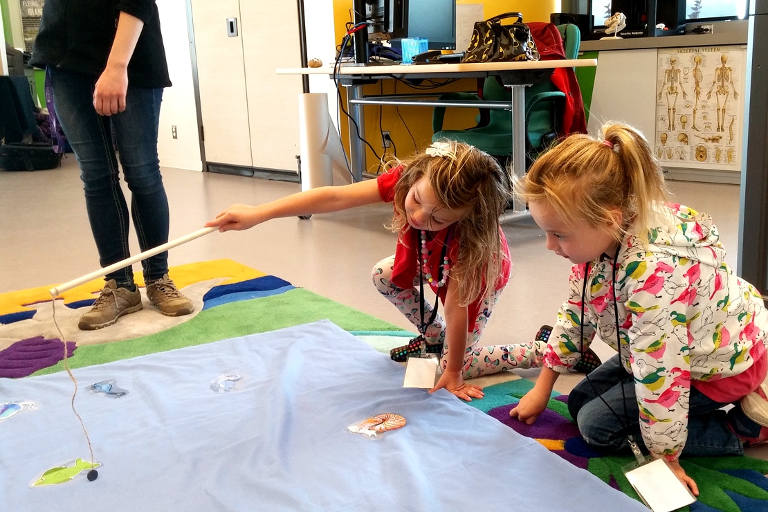 Making fossil casts