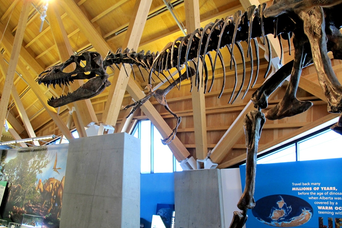 Gallery dinosaur