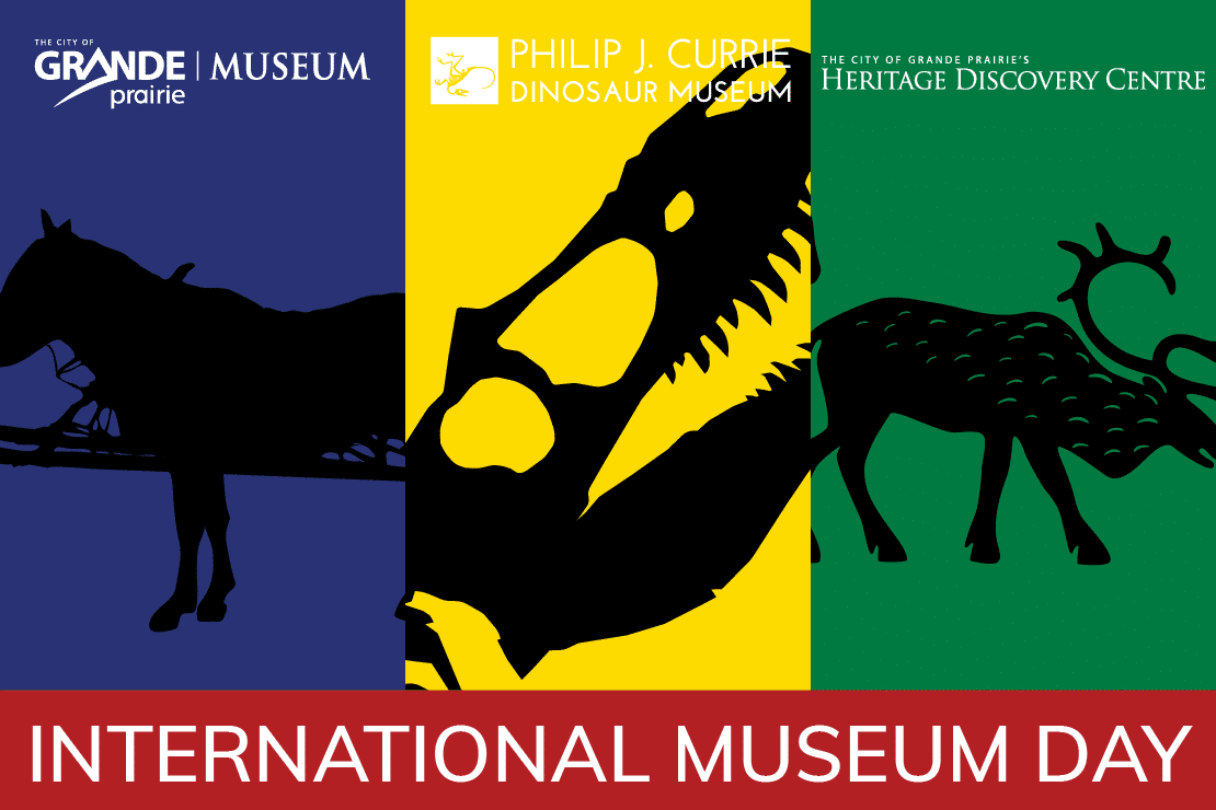 International Museum Day