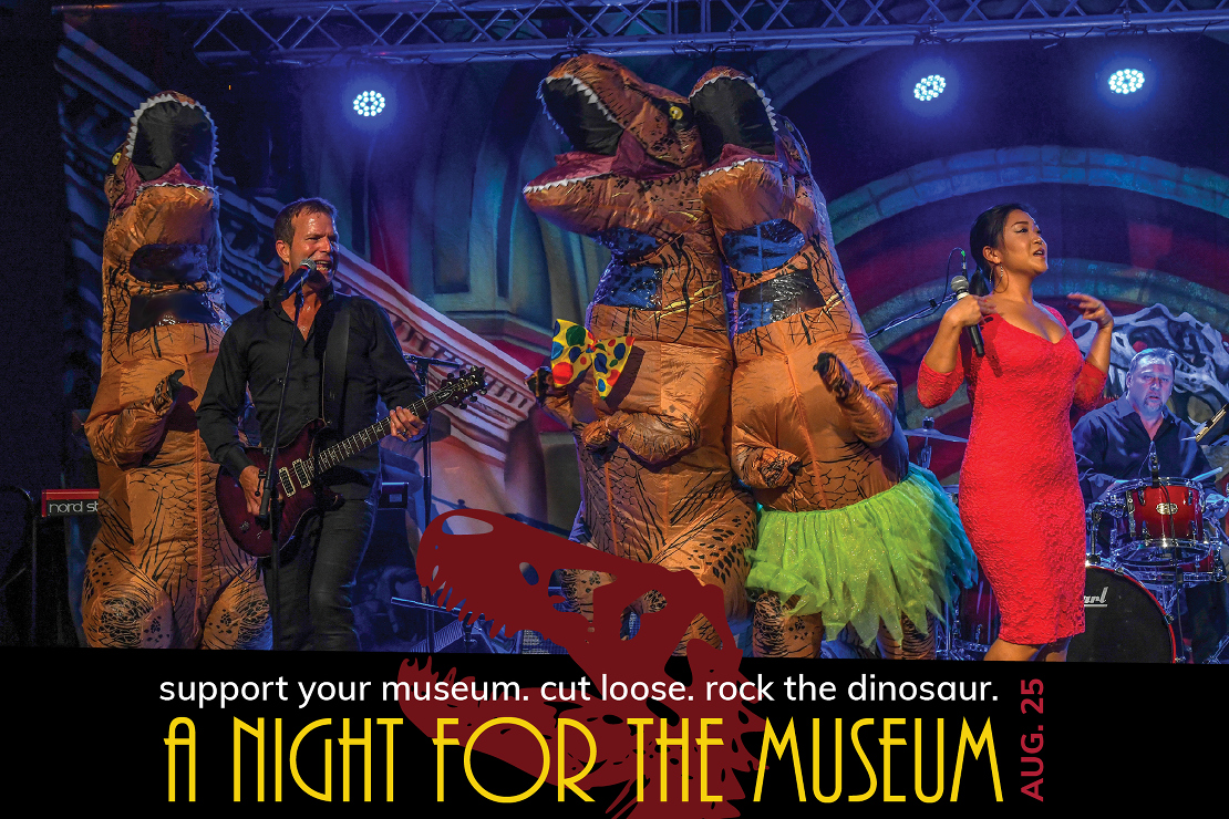 A Night for the Museum