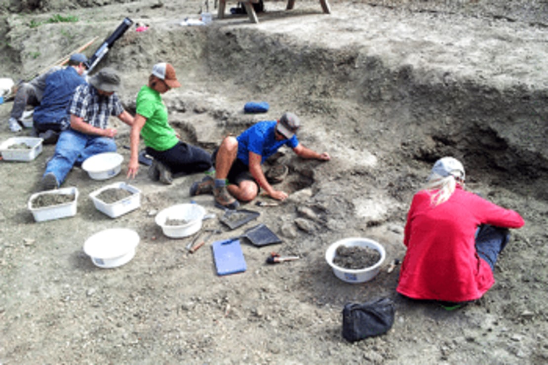 Fossil Excavation