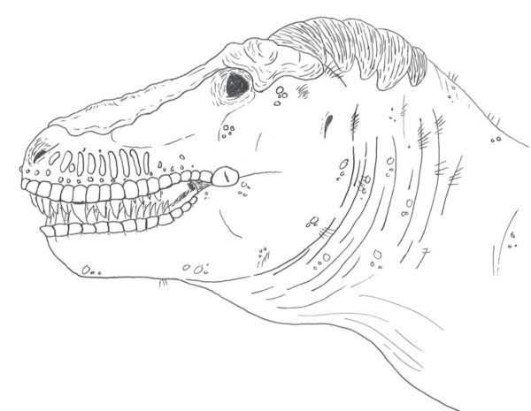 Featured image for “The Real Tyrannosaurus”