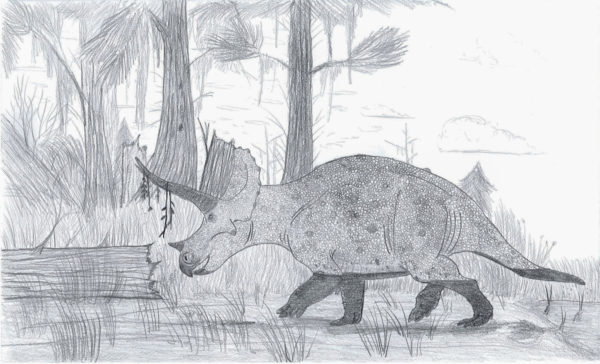 Featured image for “A Day in the Life of Triceratops”