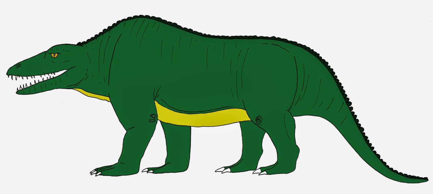 The Story of Megalosaurus Philip J. Currie Dinosaur Museum