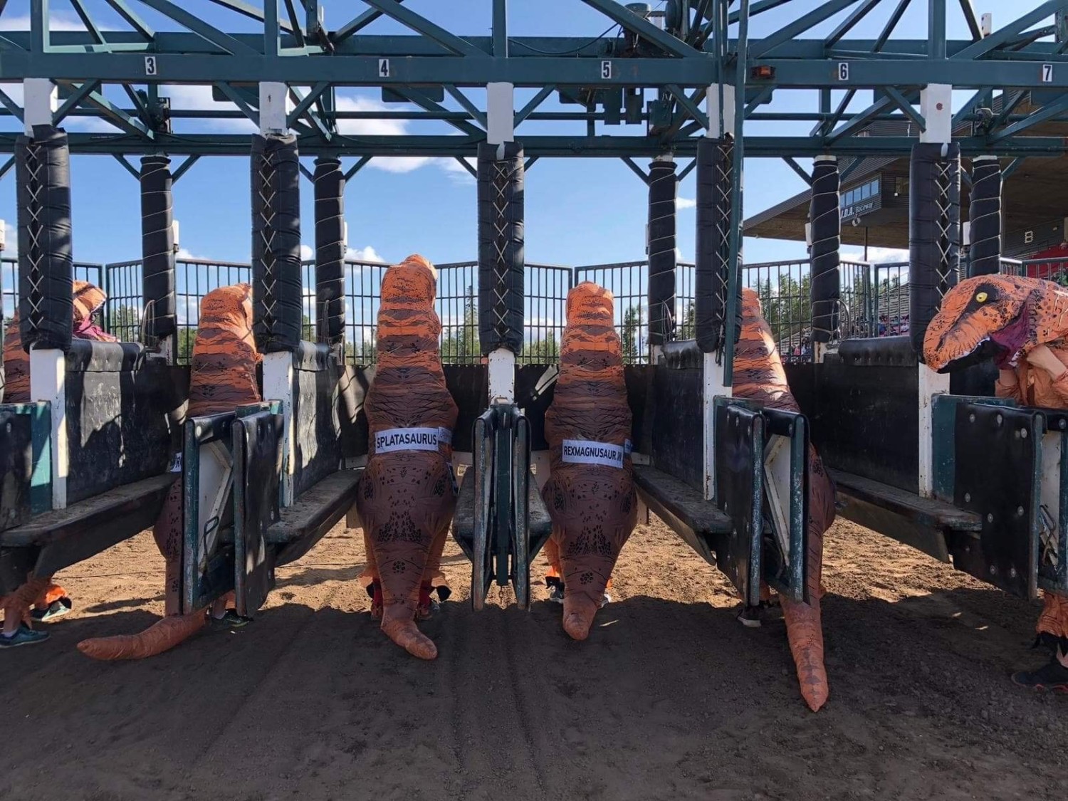 Dino Derby