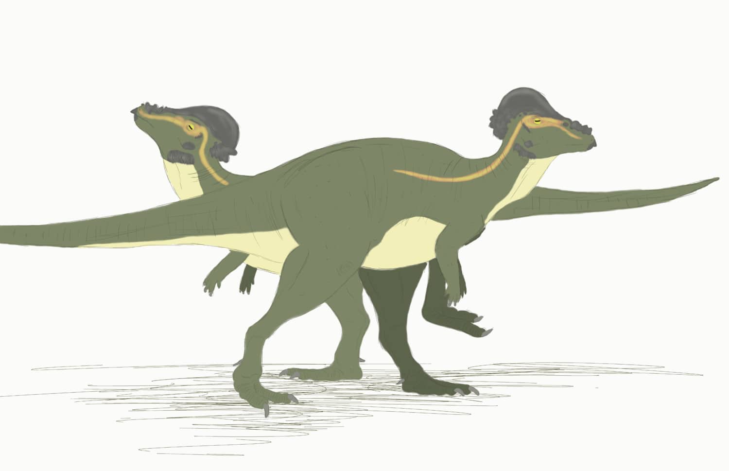 The Real Pachycephalosaurus Philip J Currie Dinosaur Museum