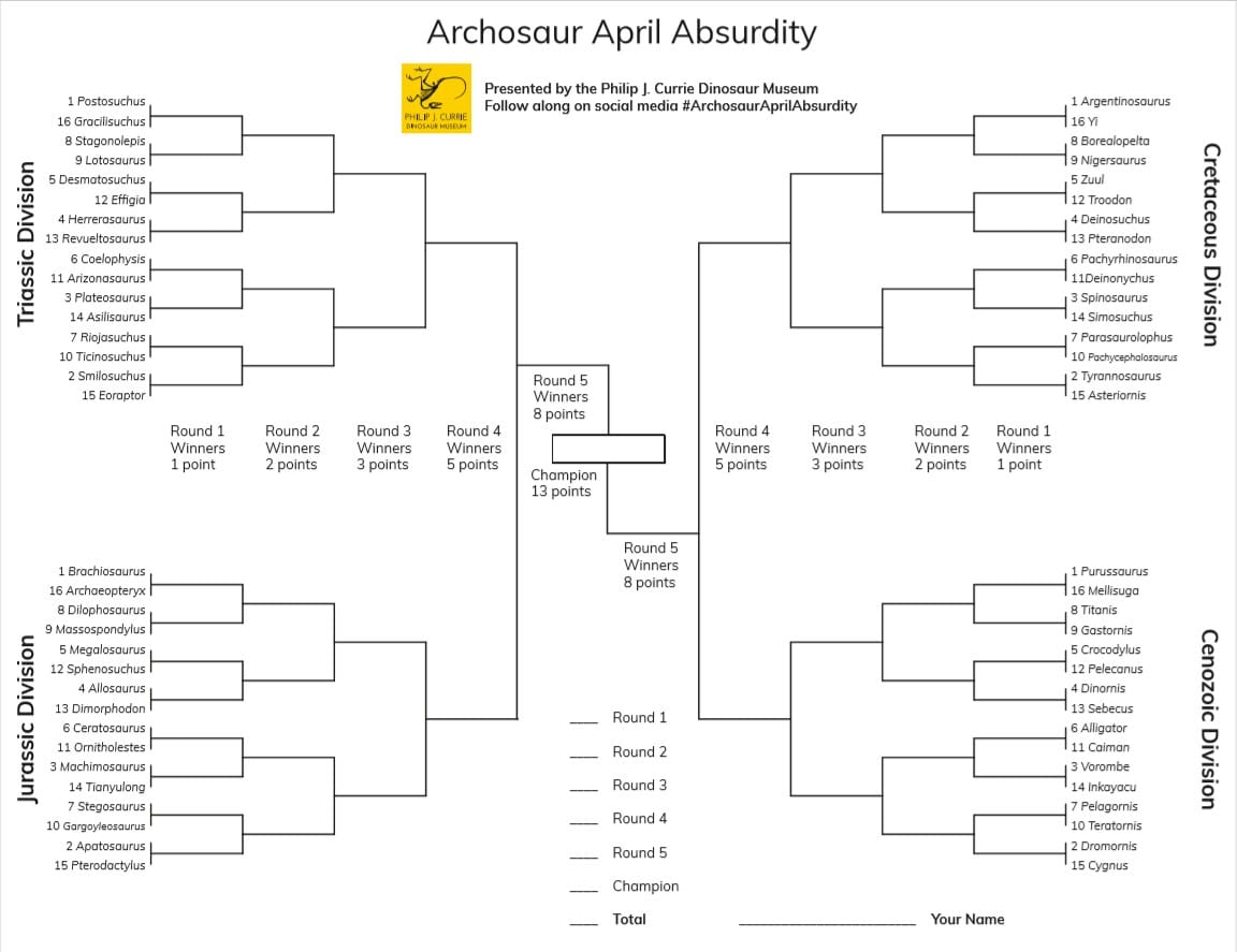 AAA-2020-bracket