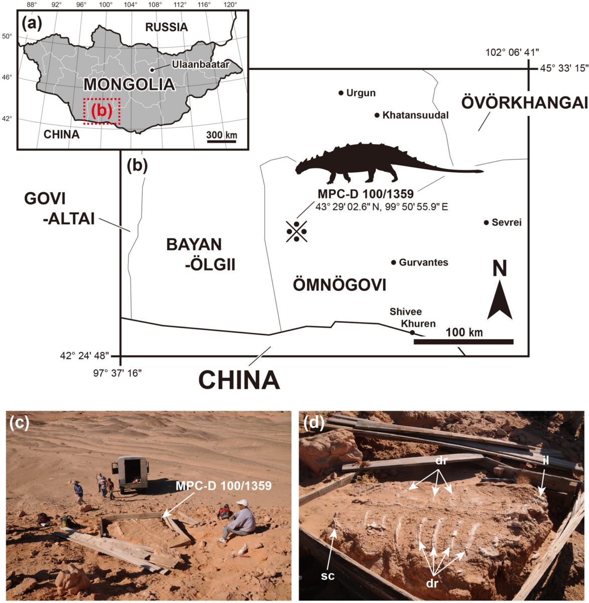 Featured image for “STEGOSAUR TRACK ASSEMBLAGE FROM XINJIANG, CHINA, FEATURING THE SMALLEST KNOWN STEGOSAUR RECORD”