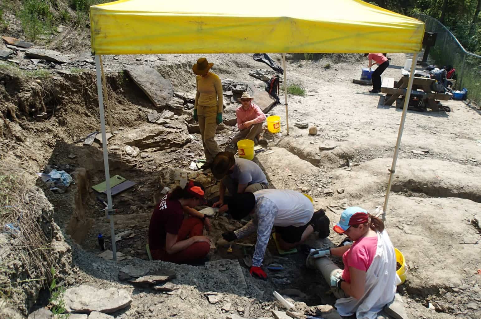 Featured image for “Pipestone Creek Bonebed Tour”