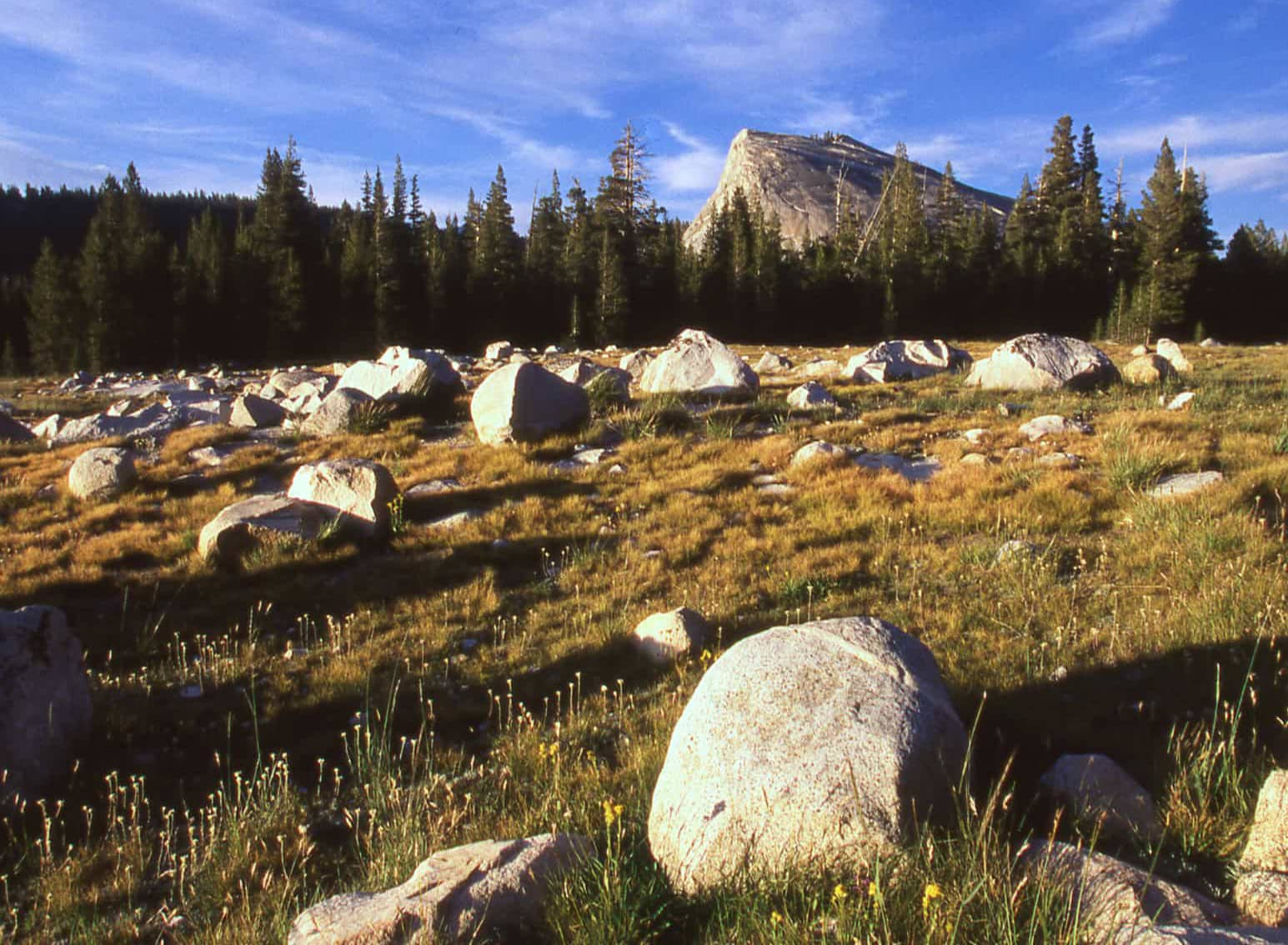 Featured image for “Rocks, Fossils And Glaciation”