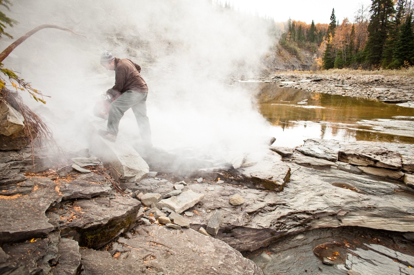 Featured image for “A dinosaur ‘mummy’ for the ages: discovery that rewrote the rule book”