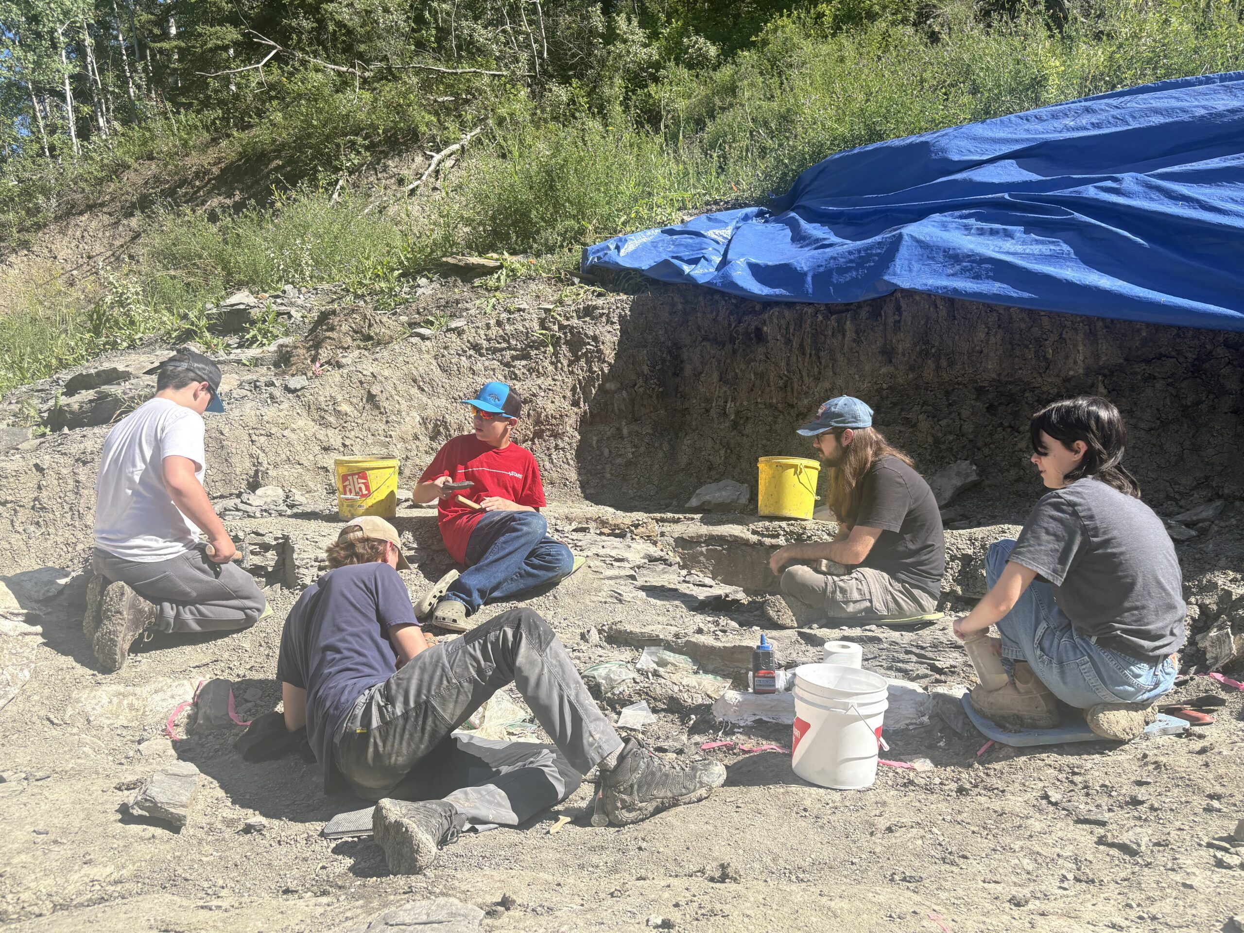 Crew working at the Pipestone Creek Bonebed