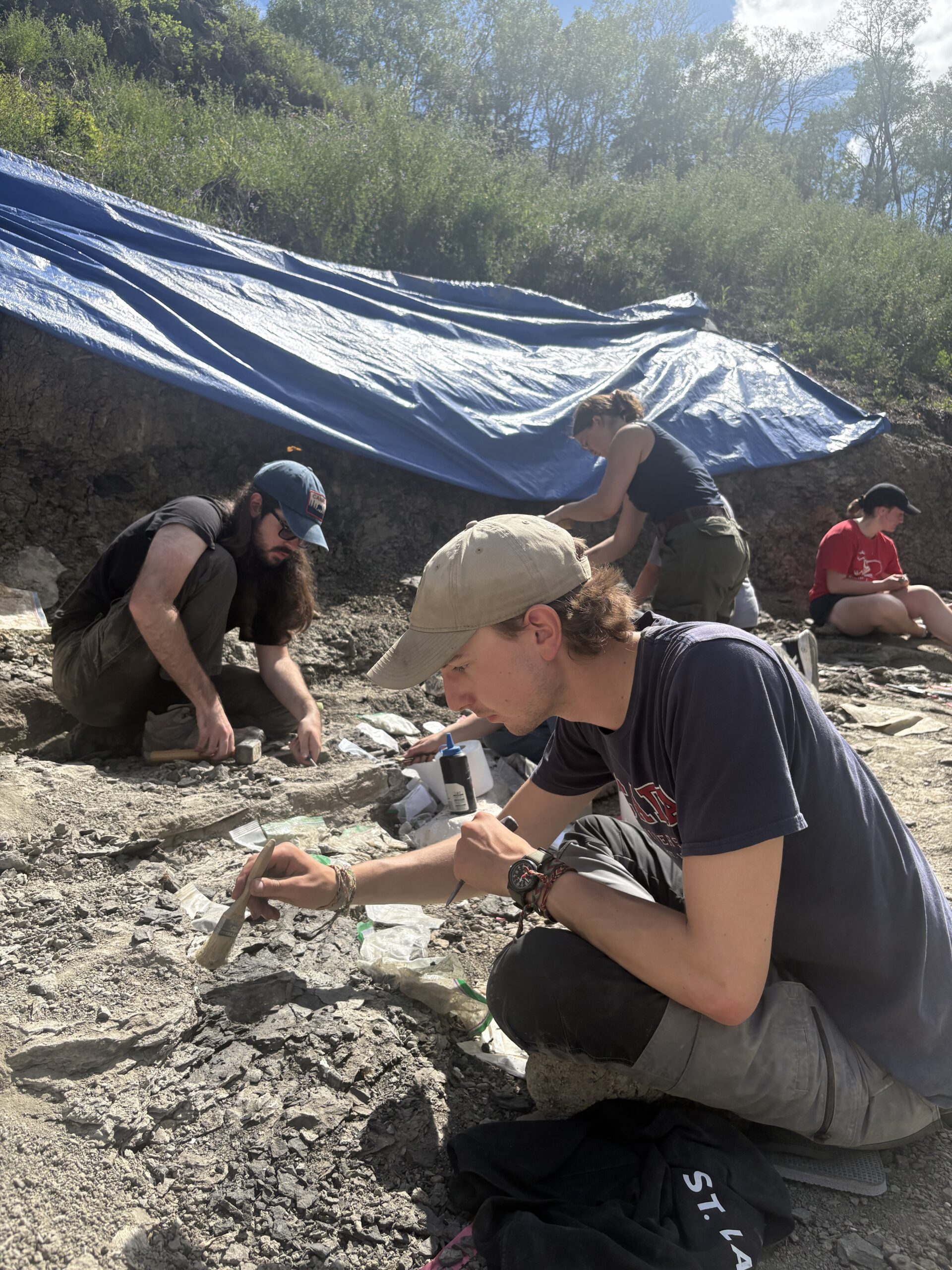 Excavation under a tarp at the Pipestone Creek Bonebed