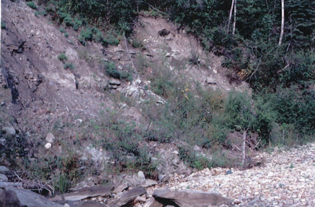 The creek bank at Pipestone Creek in the 1970s